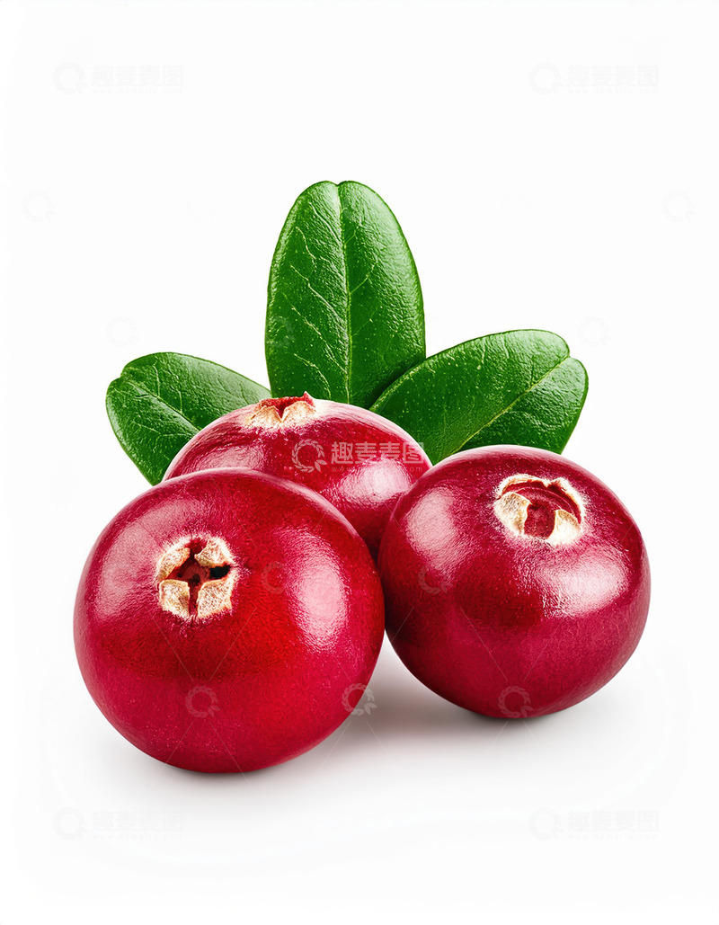 高清大图下载【趣麦麦图】蔓越莓自然形态：原生态的视觉冲击