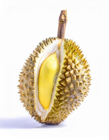 榴莲优质素材：设计创作的得力助手