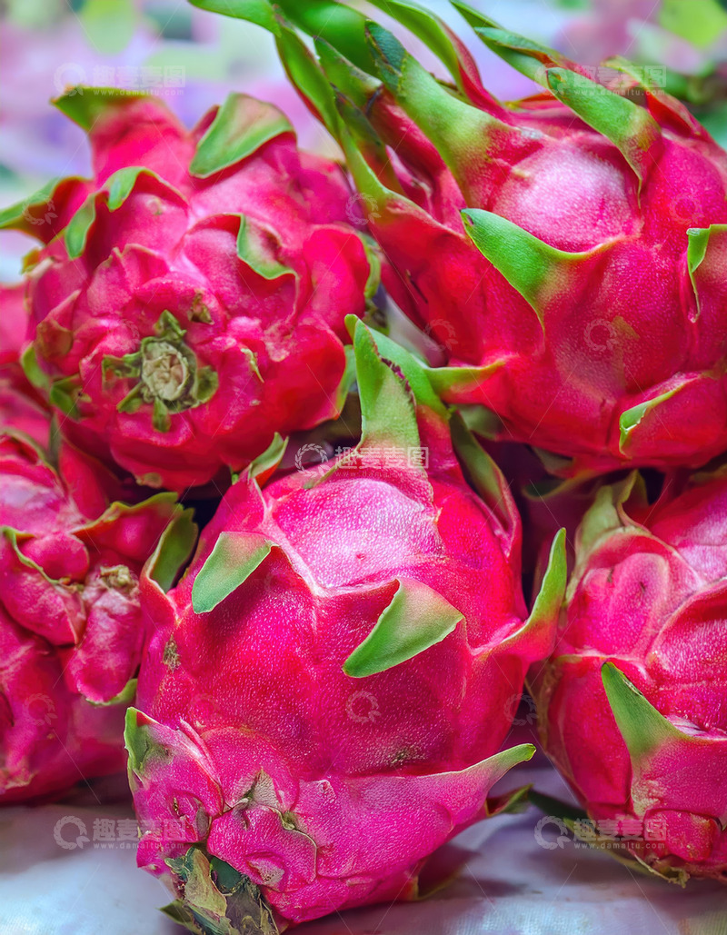 高清大图下载【趣麦麦图】火龙果造型：椭圆带鳞的外形特点