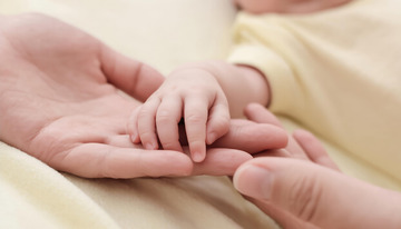 大人的手和婴儿的手