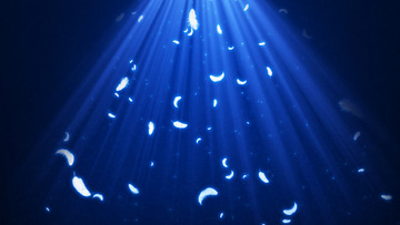 光线羽毛飘落晚会年会活动蓝色背景