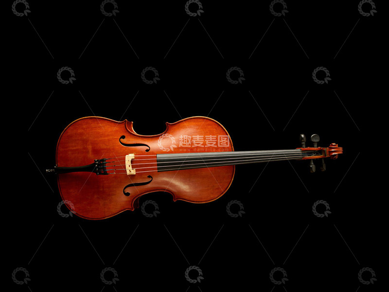 高清大图下载【趣麦麦图】小提琴乐器摄影