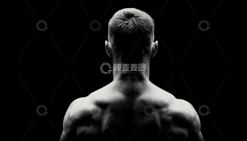 高清大图下载【趣麦麦图】男性的背部