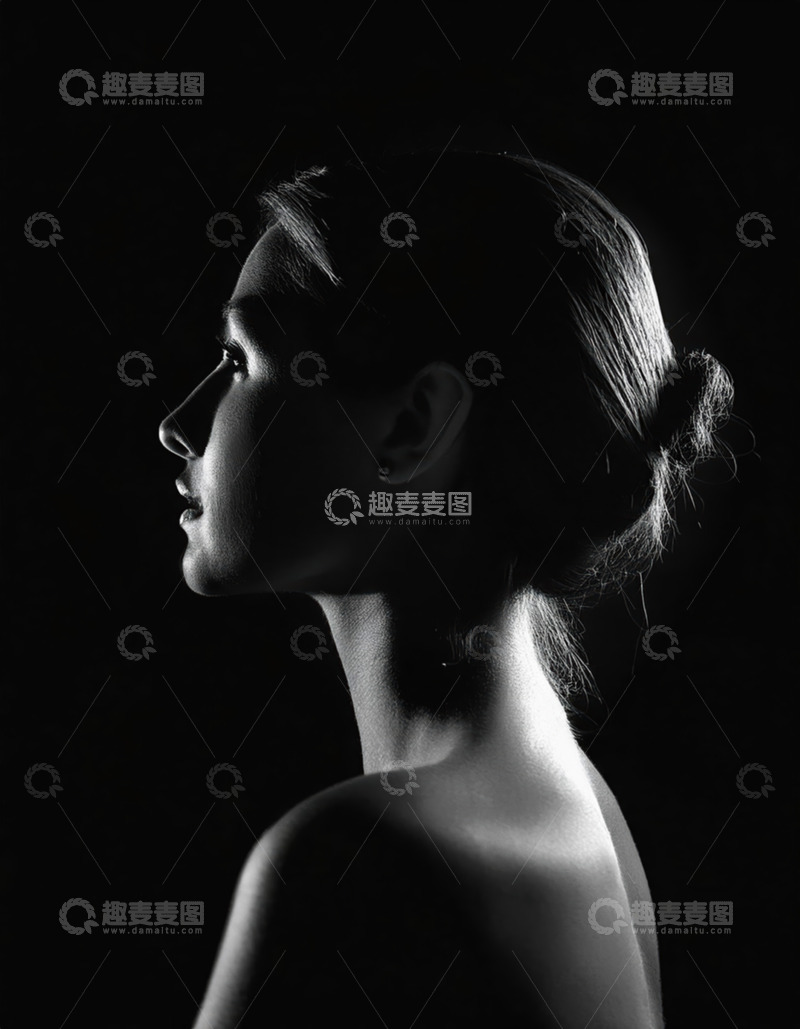 高清大图下载【趣麦麦图】女性黑白光影轮廓2