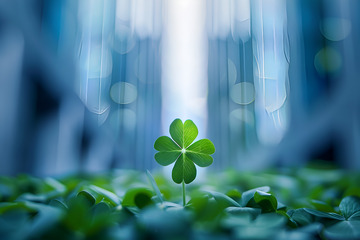 四叶草花丛背景