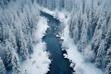 冬天的溪水河流
