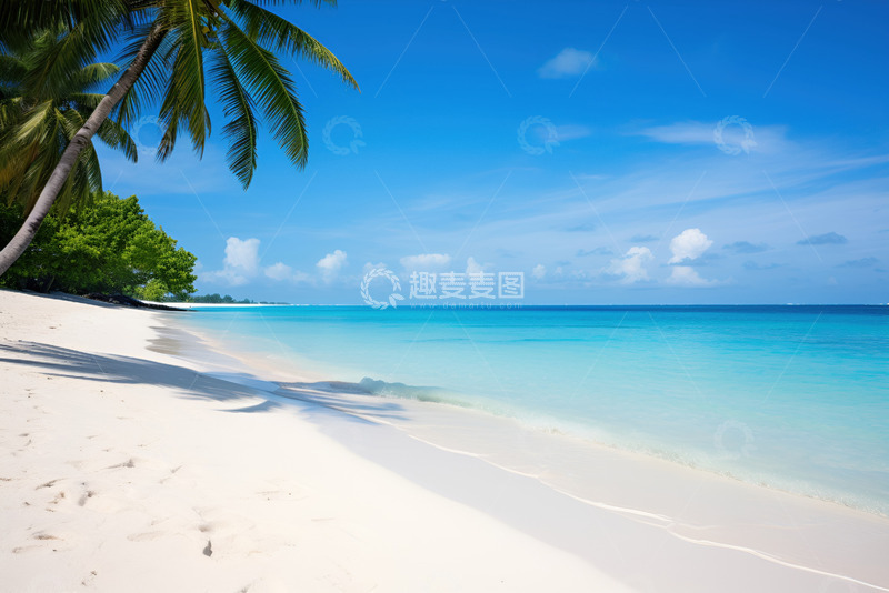 白色沙滩海洋椰树