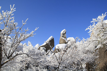 安徽安庆天竺山雪景图片6
