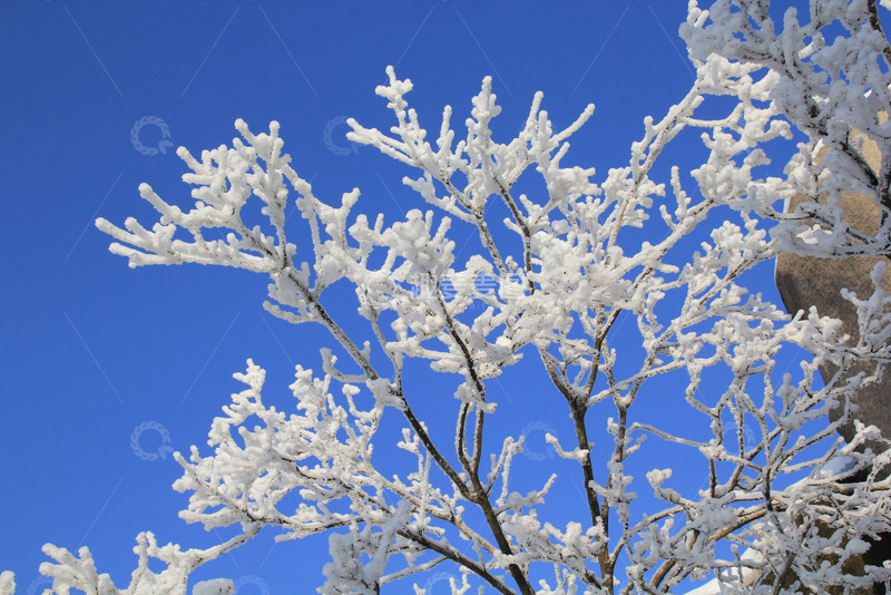 安徽安庆天竺山雪景图片2