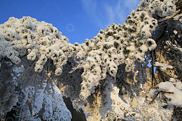 安徽安庆天竺山雪景图片7