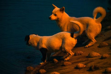 欢乐派对乐无穷