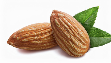 杏仁的多彩生活1