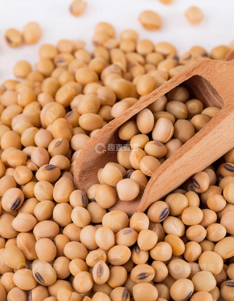 高清大图下载【趣麦麦图】木勺中的黄豆宝藏