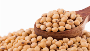 黄豆的乡村风情