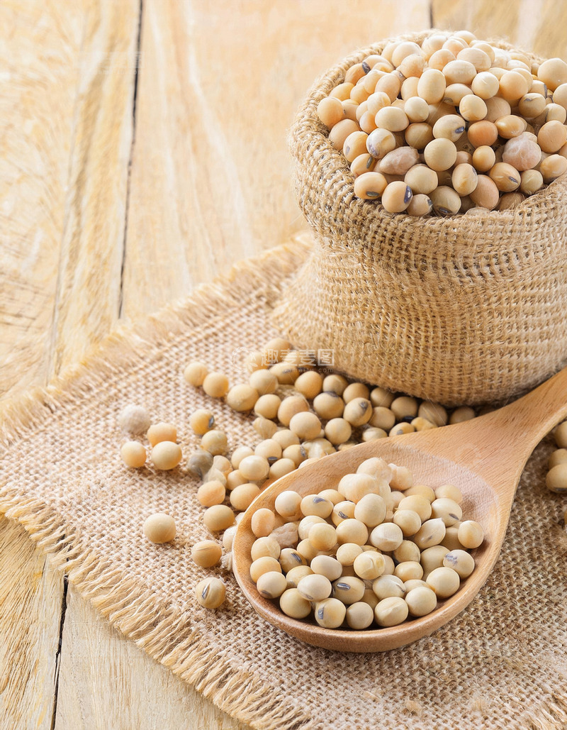 高清大图下载【趣麦麦图】黄豆的生态魅力