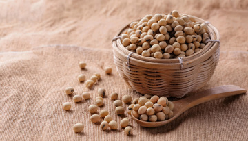 黄豆的健康生活