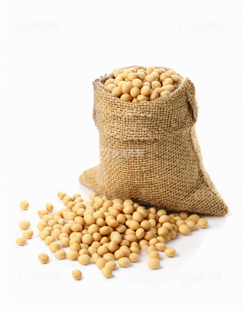 高清大图下载【趣麦麦图】黄豆的自然流淌