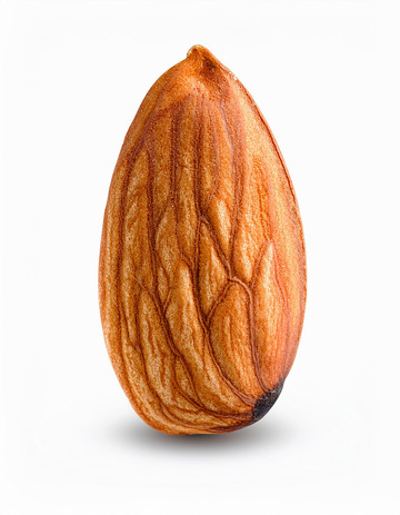 杏仁与叶的邂逅