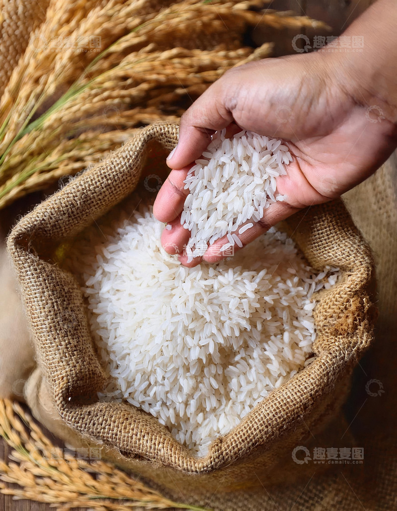 高清大图下载【趣麦麦图】一只手正从麻袋中捧出一些大米手中的大米颗粒饱满质感细腻2