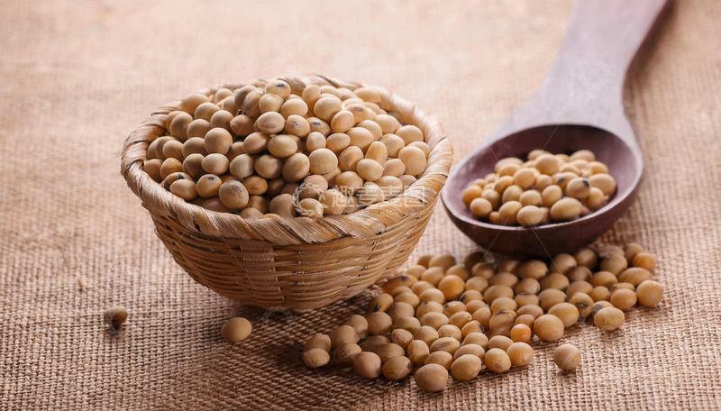 高清大图下载【趣麦麦图】黄豆的自然之选1