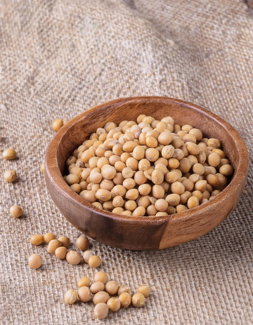 木碗中的黄豆宝藏