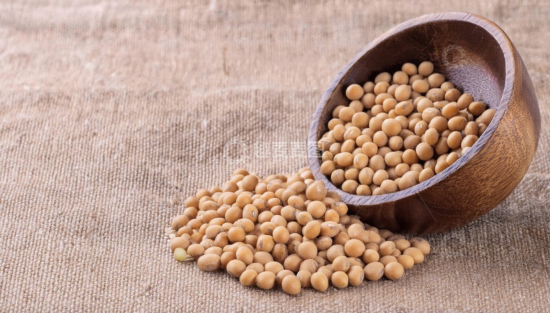 高清大图下载【趣麦麦图】-黄豆的传统韵味2