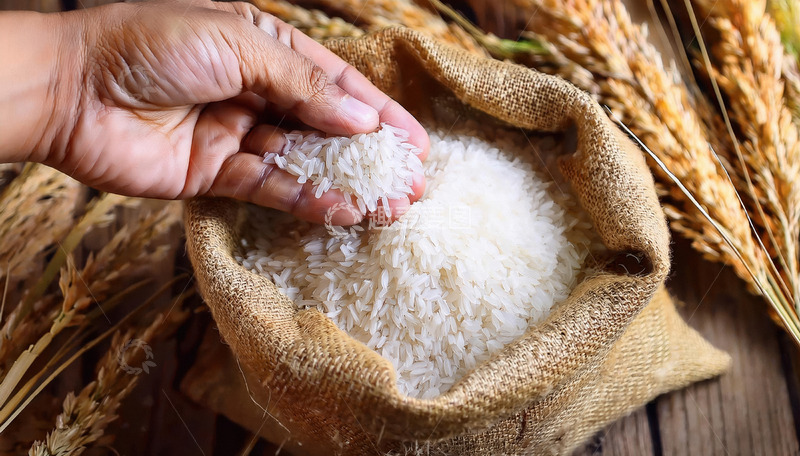 高清大图下载【趣麦麦图】一只手正从麻袋中捧出一些大米手中的大米颗粒饱满质感细腻