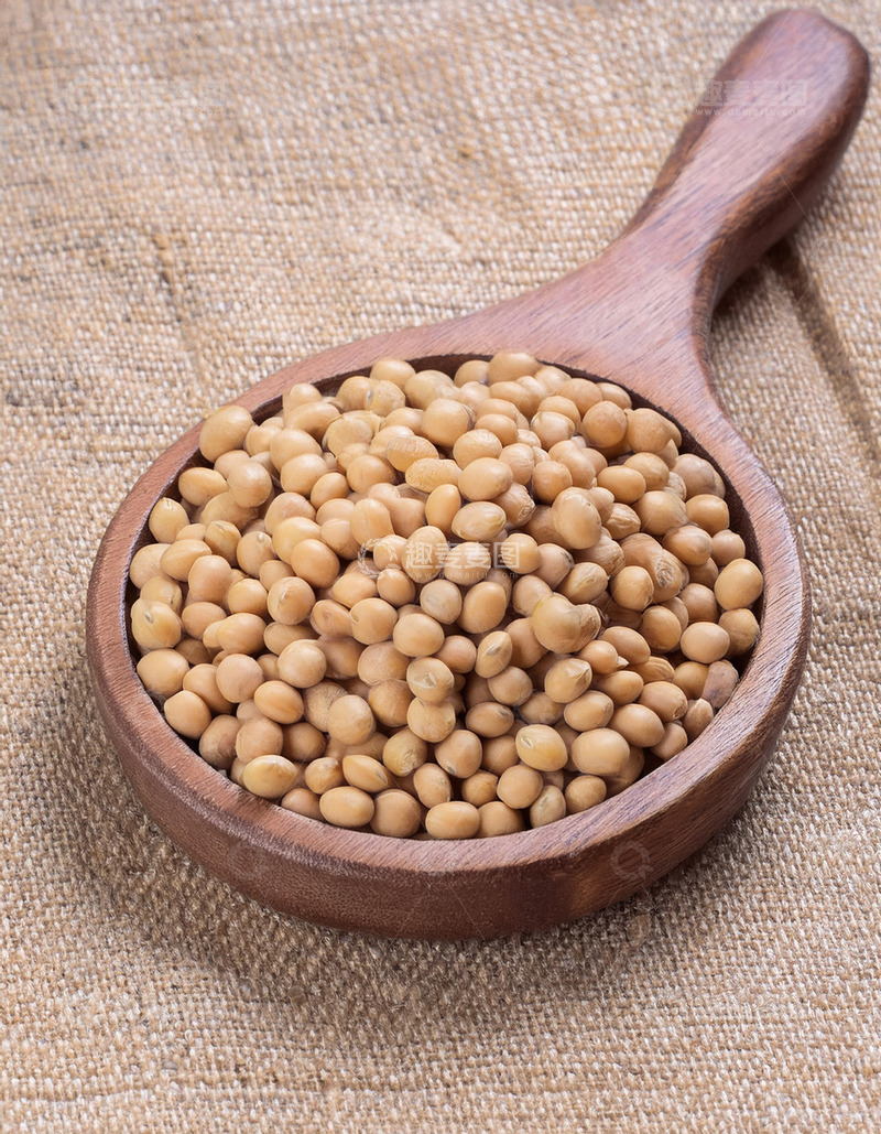 高清大图下载【趣麦麦图】黄豆的质朴呈现1