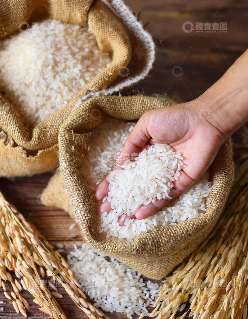 高清大图下载【趣麦麦图】一只手正从麻袋中捧出一些大米手中的大米颗粒饱满质感细腻3