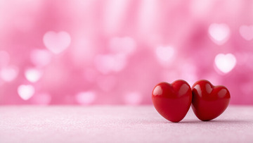 情人节粉色花朵爱心摄影