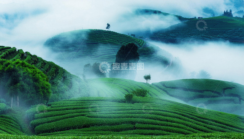 梦幻茶山画面做壁纸美化生活