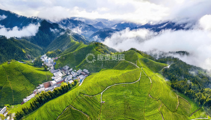 壮阔茶山景作海报背景超震撼2