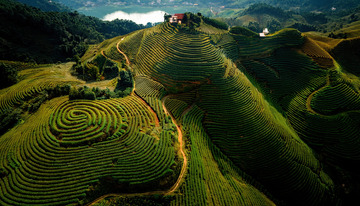 梦幻茶山画面做壁纸美化生活1