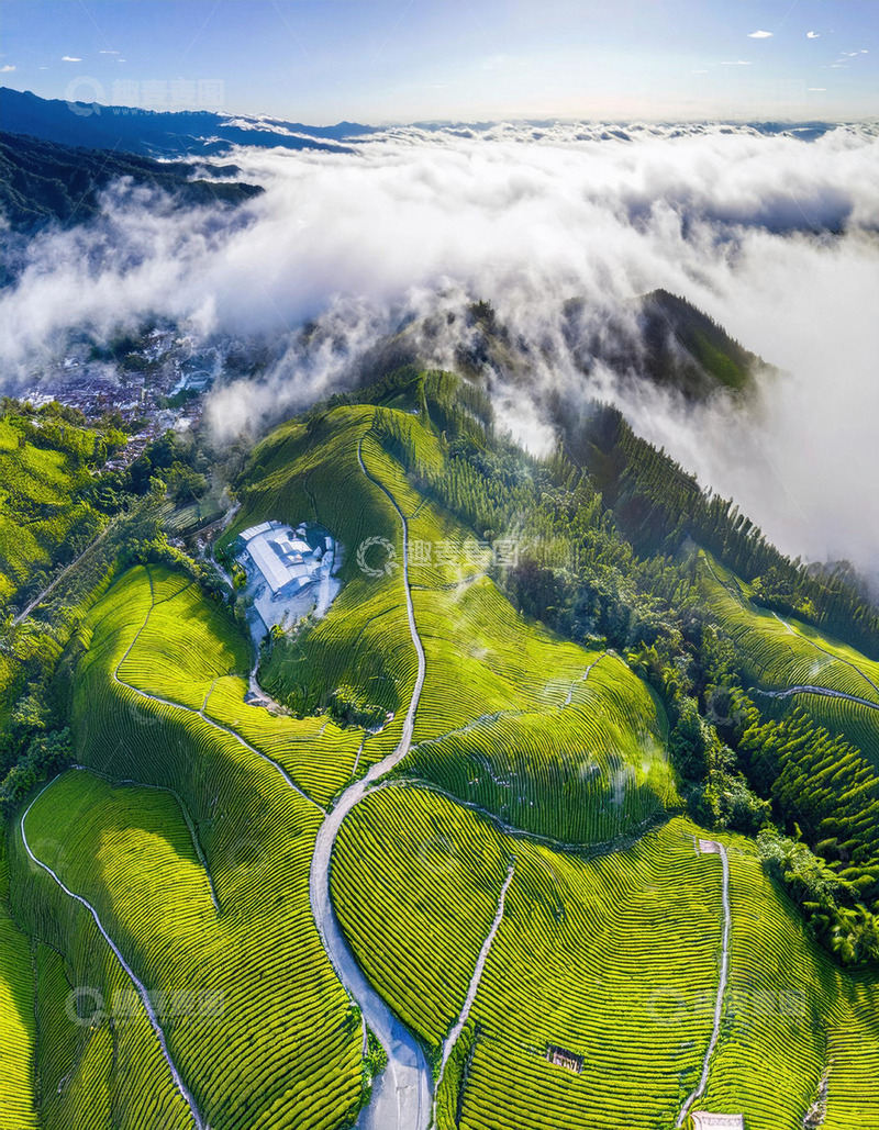 高清大图下载【趣麦麦图】壮阔茶山景作海报背景超震撼1