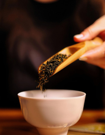 真实的取茶过程图作杂志插图清新