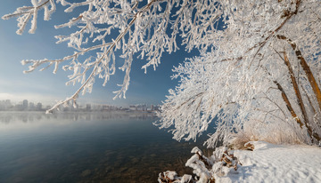 冬日雾凇景观。画面中有挂满雾凇的树木，枝条晶莹洁白，背景是平静的水面，水面倒映着树木和天空，部分画面还有朦胧雾气，整体营造出静谧3