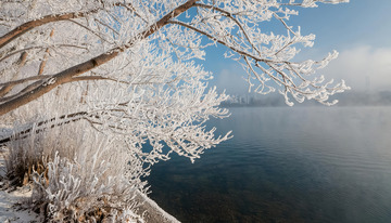 冬日雾凇景观。画面中有挂满雾凇的树木，枝条晶莹洁白，背景是平静的水面，水面倒映着树木和天空，部分画面还有朦胧雾气，整体营造出静谧2
