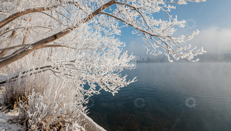 高清大图下载【趣麦麦图】冬日雾凇景观。画面中有挂满雾凇的树木，枝条晶莹洁白，背景是平静的水面，水面倒映着树木和天空，部分画面还有朦胧雾气，整体营造出静谧2