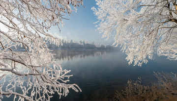 冬日雾凇景观。画面中有挂满雾凇的树木，枝条晶莹洁白，背景是平静的水面，水面倒映着树木和天空，部分画面还有朦胧雾气，整体营造出静谧