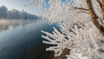 冬日雾凇景观。画面中有挂满雾凇的树木，枝条晶莹洁白，背景是平静的水面，水面倒映着树木和天空，部分画面还有朦胧雾气，整体营造出静谧1