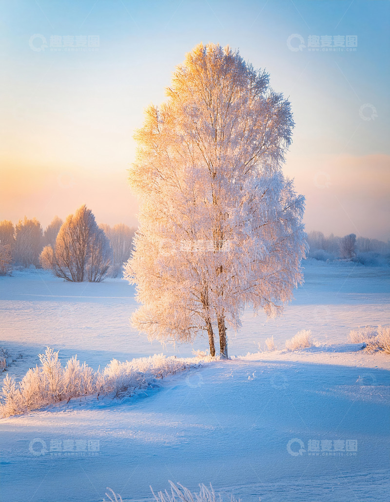 高清大图下载【趣麦麦图】雾凇覆盖的树林