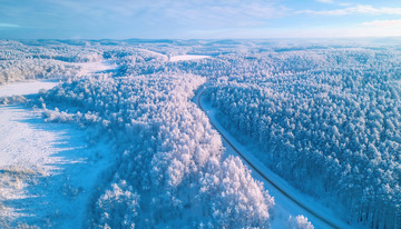 冬日被冰雪覆盖的森林景观。大片的树木挂满雾凇，白茫茫一片，一条蜿蜒的道路穿梭其中，在蓝天的映衬下，整个场景壮观而美丽，尽显冬日的纯净与静谧1