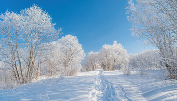 蓝天下，广袤的雪地一望无际，道路两旁的树木挂满了洁白的雾凇，形成一条美丽的雪道，树木的枝条在阳光照耀下闪烁着晶莹的光