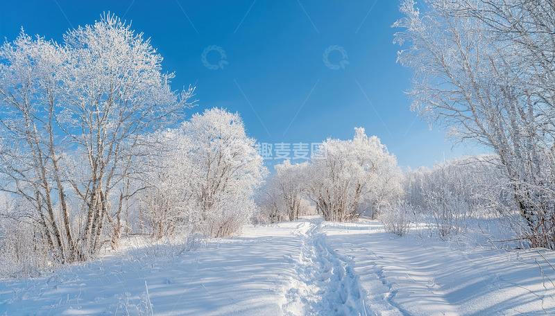 高清大图下载【趣麦麦图】蓝天下，广袤的雪地一望无际，道路两旁的树木挂满了洁白的雾凇，形成一条美丽的雪道，树木的枝条在阳光照耀下闪烁着晶莹的光