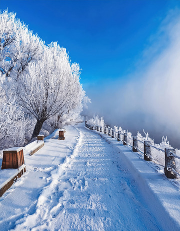 清新的雾凇雪景图
