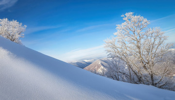 冬日的壮丽景色。蓝天之下，山坡被厚厚的积雪覆盖，呈现出柔和的曲线。远处几棵树木挂满雾凇，在阳光的映照下闪耀着晶莹的光芒，与蓝天白雪相互映衬1