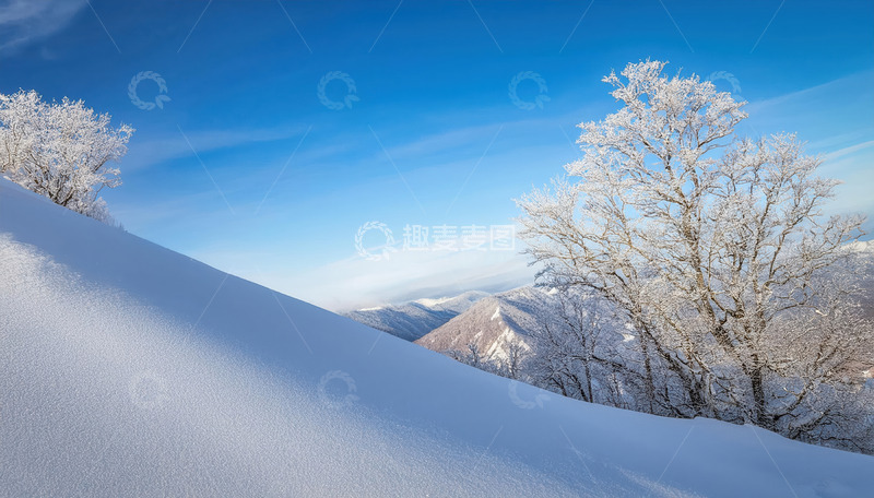 高清大图下载【趣麦麦图】冬日的壮丽景色。蓝天之下，山坡被厚厚的积雪覆盖，呈现出柔和的曲线。远处几棵树木挂满雾凇，在阳光的映照下闪耀着晶莹的光芒，与蓝天白雪相互映衬1