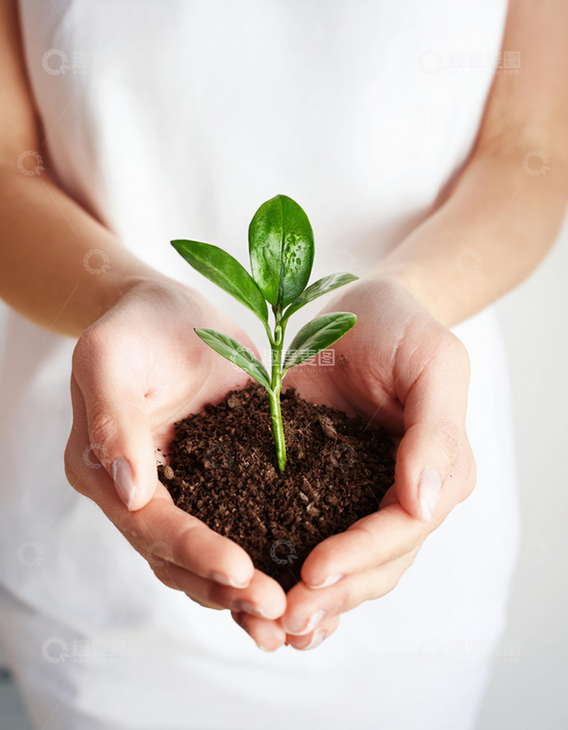 高清大图下载【趣麦麦图】一双手捧着一株刚发芽的幼苗，幼苗根部带有泥土，象征着新生与希望1