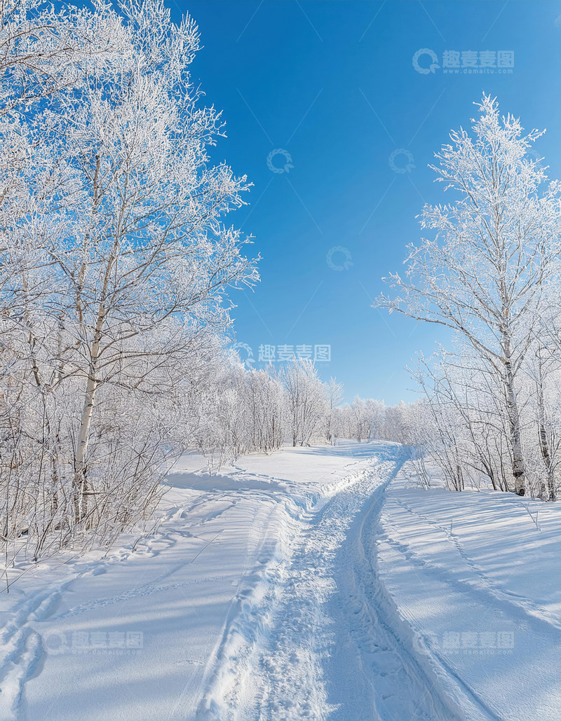 高清大图下载【趣麦麦图】蓝天之下白雪覆盖大地，树木挂满雾凇，雪地上留有车辙痕迹2