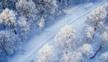 一幅冬日雾凇景象的俯瞰图。广袤的雪地上，树木被厚厚的雾凇覆盖，银白一片，一条蜿蜒的道路穿梭其中，在蓝天的映衬下，整个画面纯净